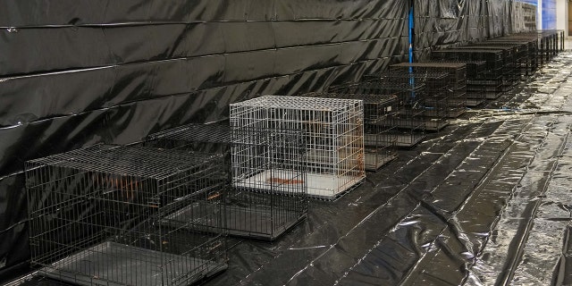 Empty pet cages are photographed just before Hurricane Ian hit the state of Florida this week.