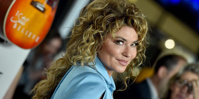 Shania Twain put out a Netflix documentary "Not Just A Girl" in 2022 and also has been performing at her Las Vegas residency.
