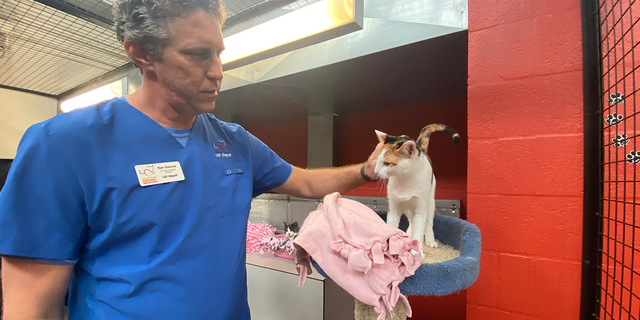 Ryan Simonson cares for one of the animals at Cat Depot, a non-profit shelter in Sarasota, Florida.  He and the rest of the staff spent the night caring for animals during Hurricane Ian.