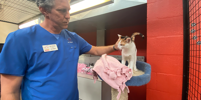 Ryan Simonson tends to one of the animals at Cat Depot, a nonprofit shelter in Sarasota, Florida.  He and the rest of the staff stayed overnight to care for the animals during Hurricane Ian.