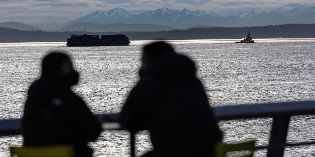 The West Point Treatment Plant in Seattle plans to pay $5 million in a settlement deal after repeatedly spilling sewage into the Puget Sound, which the Suquamish Tribe considers a treasured resource. Pictured: The Puget Sound on March 11, 2022.