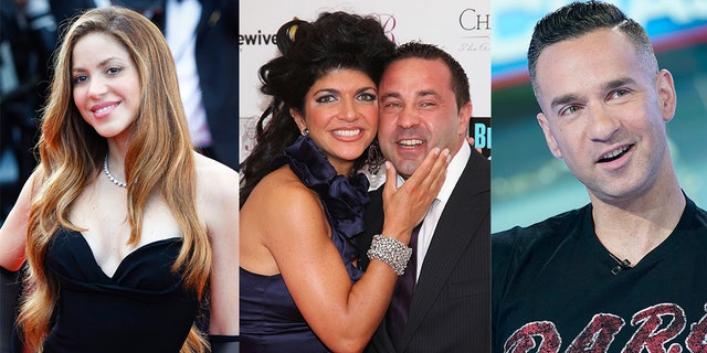 Hollywood stars, including Shakira, Teresa and Joe Giudice and Mike 'The Situation,' have been accused of tax evasion.