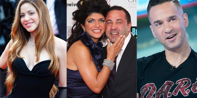 Hollywood stars, including Shakira, Teresa and Joe Giudice and Mike 'The Situation,' have been accused of tax evasion.