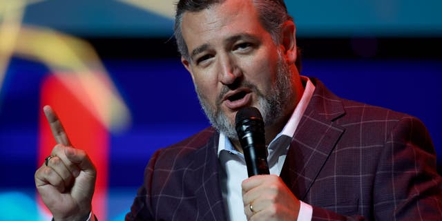 Senator Ted Cruz speaking at the Turning Point USA Student Action Summit on July 22, 2022 in Tampa, Florida.  (Joe Radle/Getty Images)