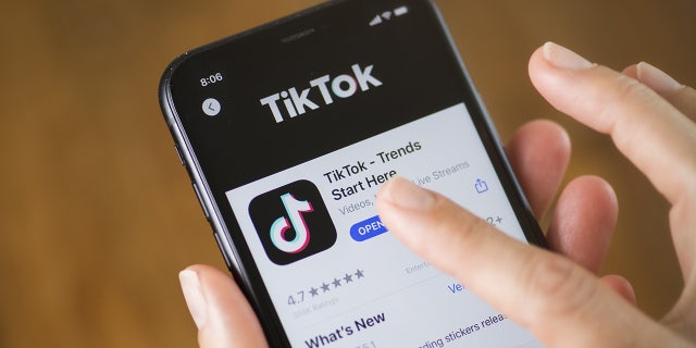 TikTok has been denounced as a national security threat by lawmakers, experts and commentators.