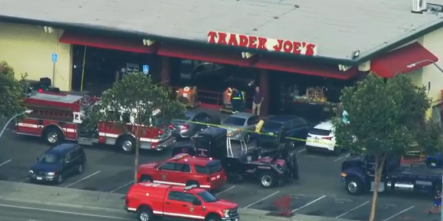 Eight people were injured in the car crash at the Castro Valley Trader Joe's store, including a 5 year old.