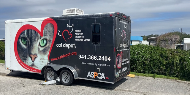 Cat Depot in Sarasota missed the worst of Hurricane Ian but still suffered some damage. The nonprofit has a mobile trailer that can house more than 100 cats.