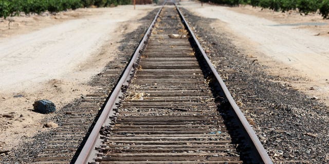EXETER, CALIFORNIA - AUGUST 26: Railroad tracks pass farmland amid ongoing drought on August 26, 2022 near Exeter, California. (Mario Tama/Getty Images)