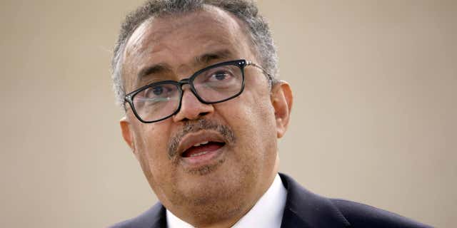 Director-General Tedros Adhanom Ghebreyesus, pictured here giving a speech at the United Nations in Geneva, Switzerland, on May 24, 2022, believes the COVID pandemic is almost ready to come to an end, but also warns of the possibility of future waves of infections.