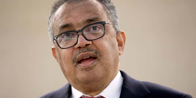 Director-General Tedros Adhanom Ghebreyesus, pictured here giving a speech at the United Nations in Geneva, Switzerland, on May 24, 2022, believes the COVID pandemic is almost ready to come to an end, but also warns of the possibility of future waves of infections.