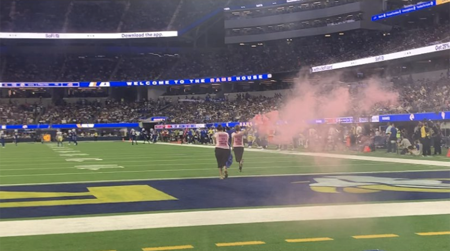 Animal rights activists interrupt Bills-Rams game, carry smoke