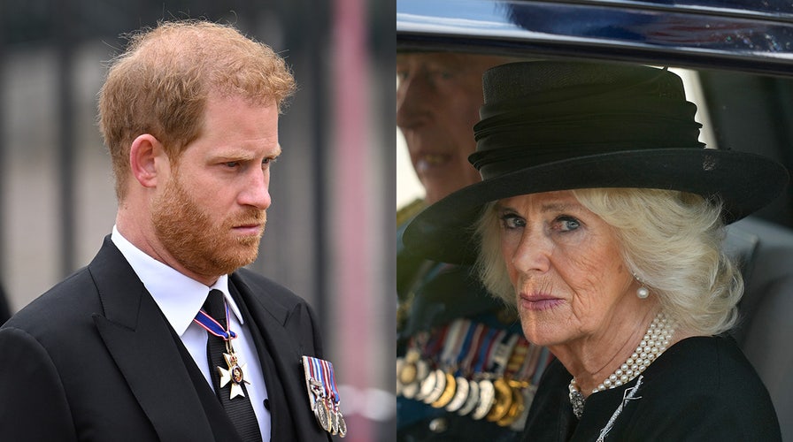 Prince Harry and Camilla, once close, are 'distant' amid bombshell book(01)