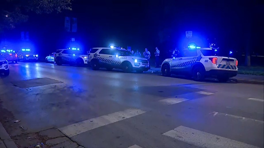 Police vehicles lining the streets