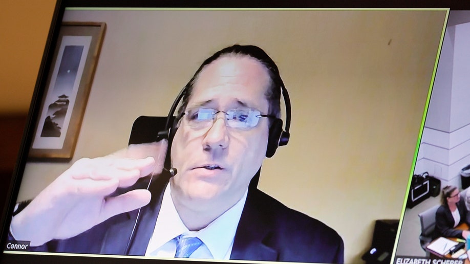 Neuropsychologist Paul Connor testifies remotely via video about a "tapping test"