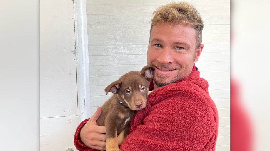 Brian Littrell holding a brown puppy