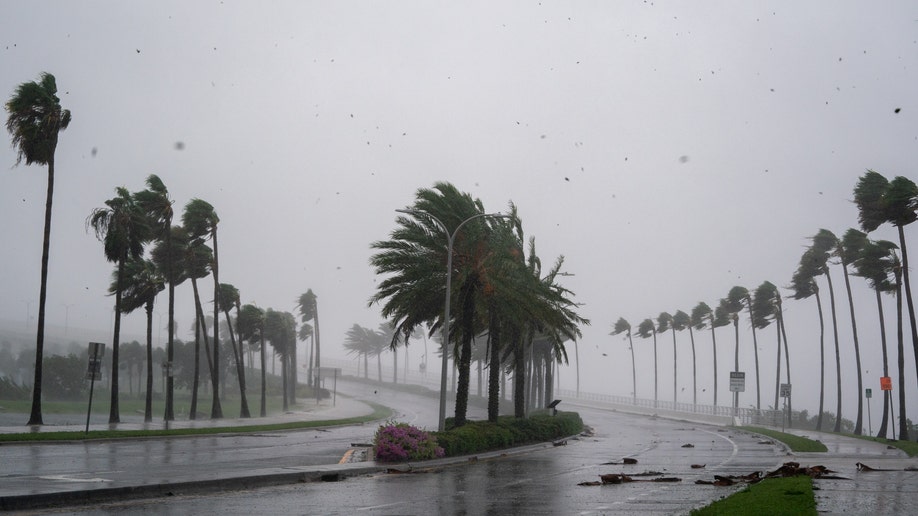 Wind gusts blow through palm trees in Florida during Hurricane Ian