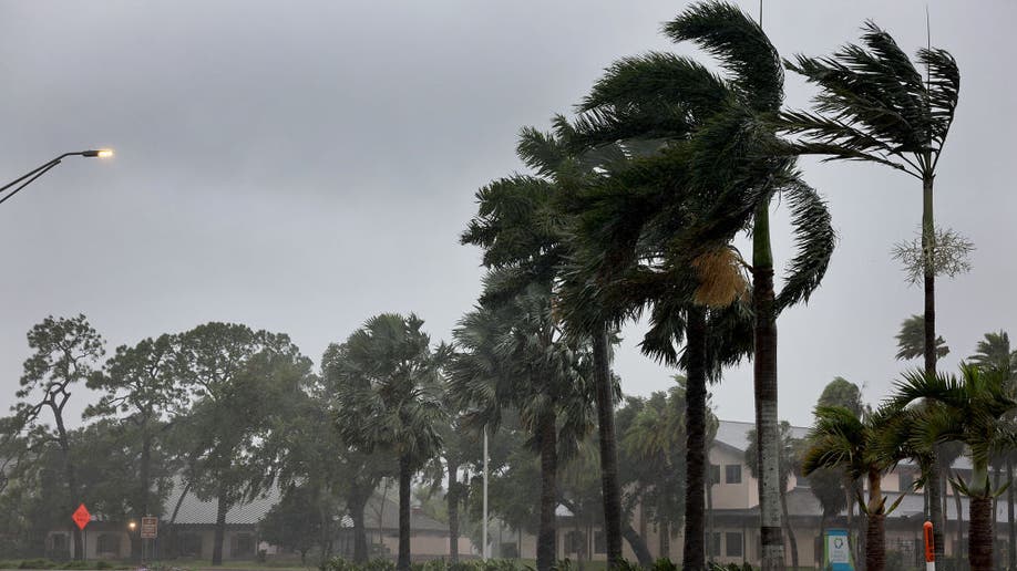 Palm trees blow in the wind from Hurricane Ian on September 28, 2022 in Sarasota, Florida