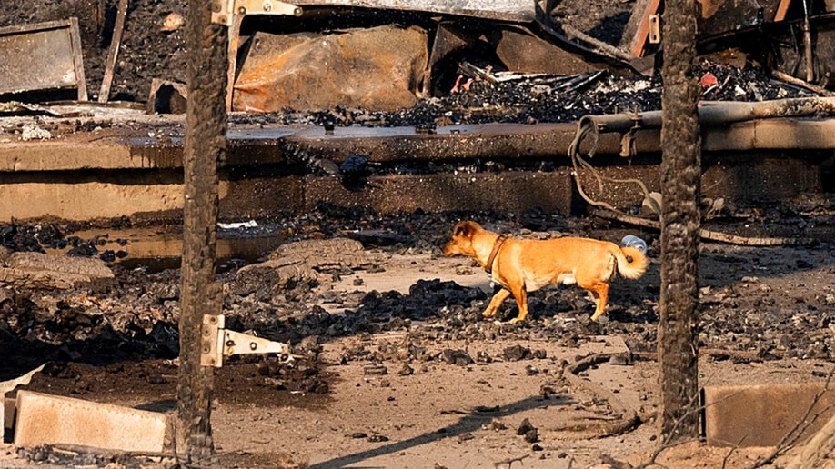 Mill Fire debris