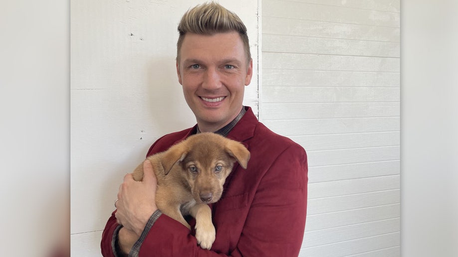 Singer Nick Carter holding a brown puppy at a shelter