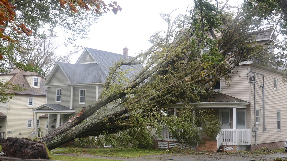 fallen tree on house