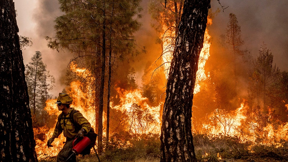 firefighter walking through burning forest