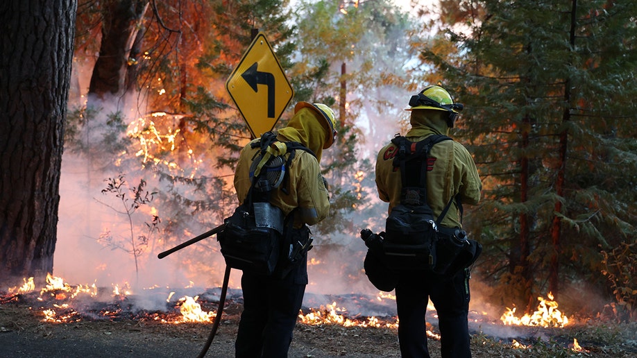 firefighters standing near embers and smoke in a forest