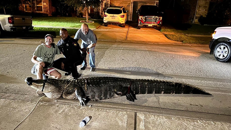 constable kneeling near alligator