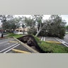 An uprooted tree, toppled by strong winds from the outer bands of Hurricane Ian, rests in a parking lot of a shopping center, Wednesday, Sept. 28, 2022, in Cooper City, Fla. (AP Photo/Wilfredo Lee)