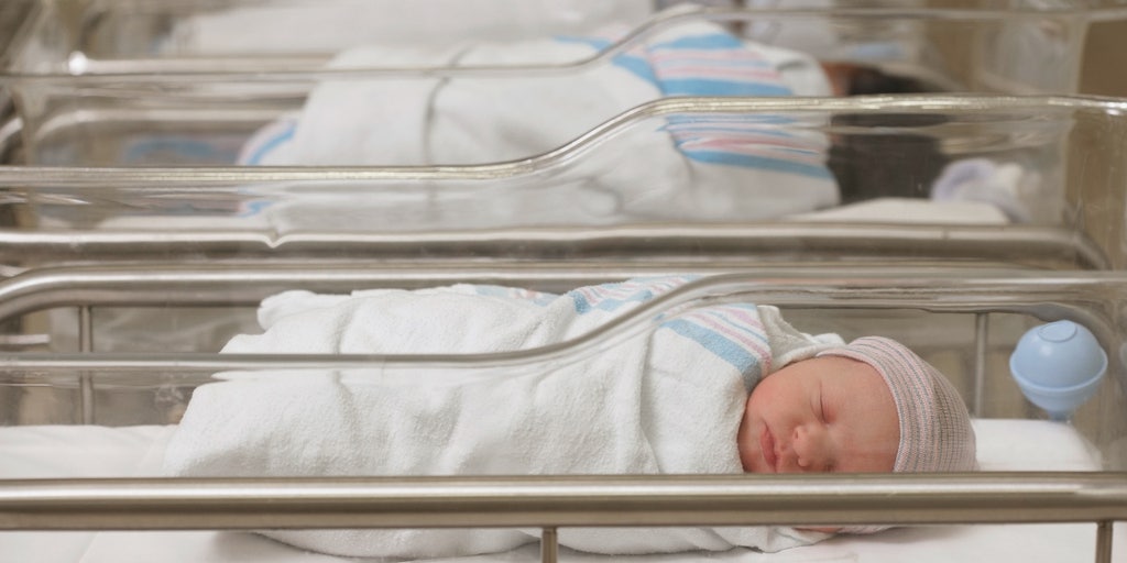 The American birth rate is plummeting, but not in some states