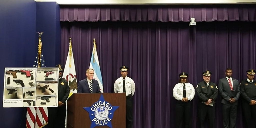 Chicago woman's body found in freezer, bloody towels in garbage at nearby beach, police say - Vimarsana News