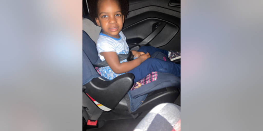 Texas bayou discovered remains belong to missing 2-year-old girl: report - Vimarsana News