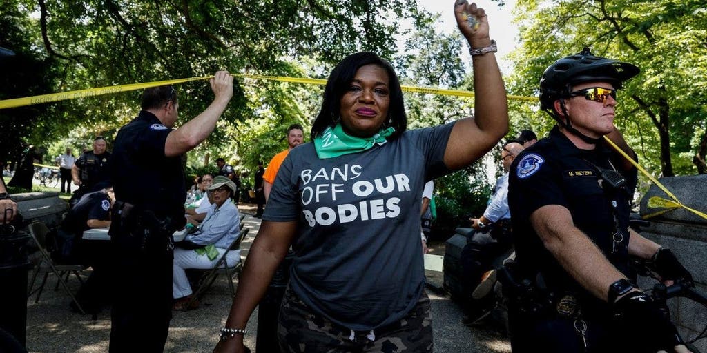 Cori Bush nears $500,000 in campaign cash to private security despite repeated calls to defund police - Vimarsana News
