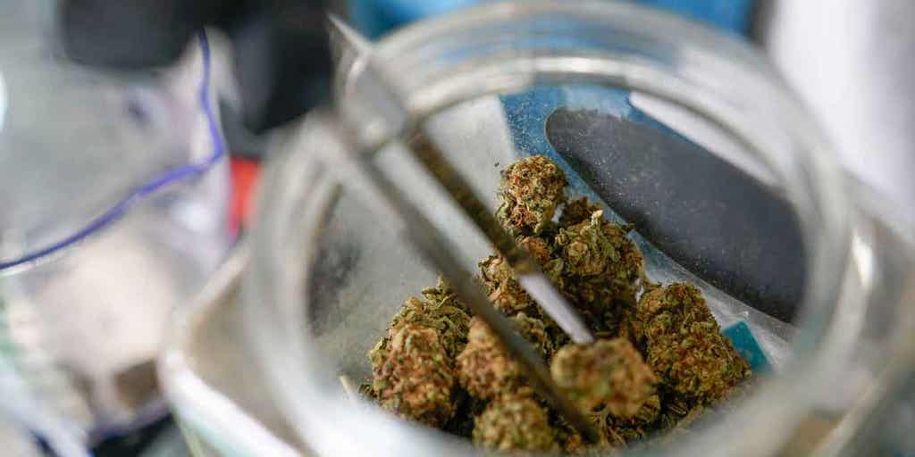 Marijuana legalized in these states in the midterm elections - Vimarsana News