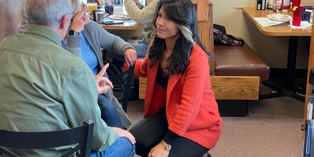 Tulsi Gabbard: Campaigning with Republican not a move towards joining GOP, says 'I'm an independent' - Vimarsana News