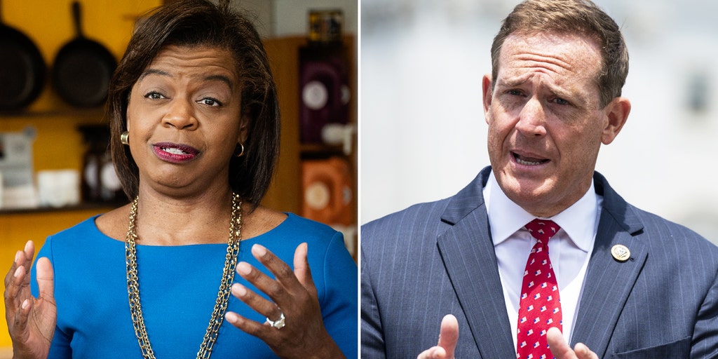 North Carolina's Ted Budd slams opponent, says inflation, criminal justice policies on the ballot - Vimarsana News
