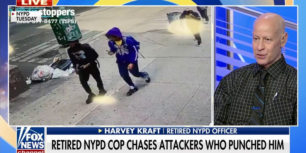 'Knockout game' attackers punch retired NYPD officer in head: 'Anyone can be a victim at any time' - Vimarsana News