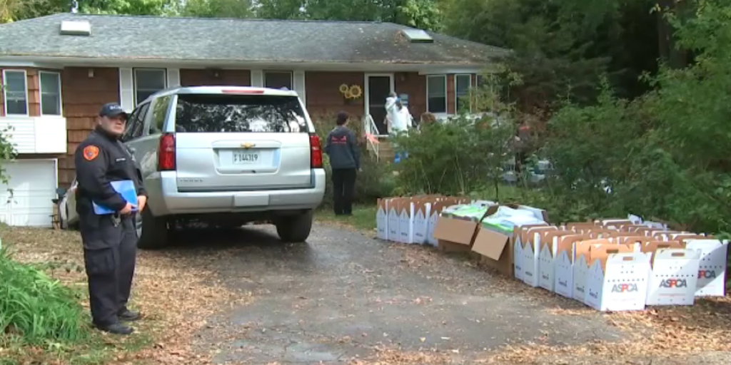 Nearly 300 animals removed from 'noxious' roach-infested New York home; pet owner arrested - Vimarsana News