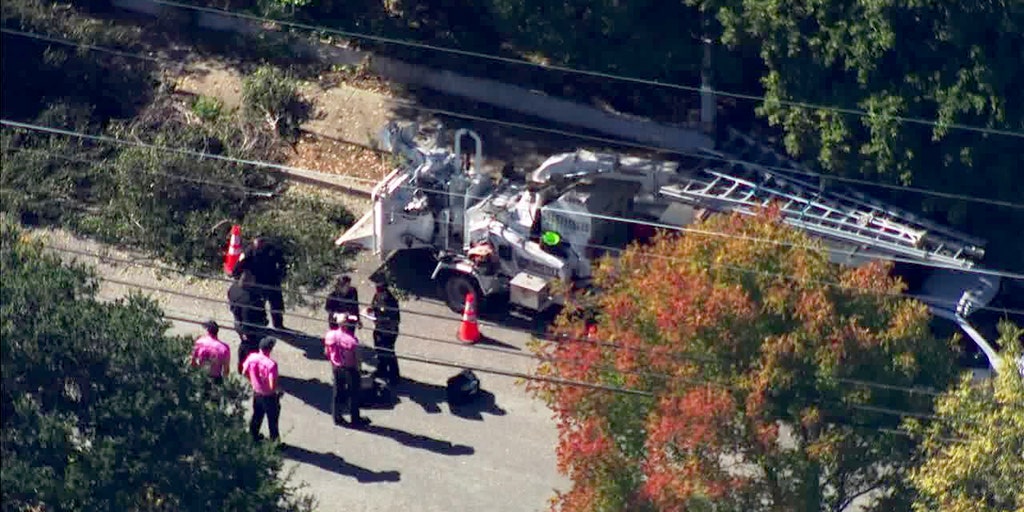 Tree trimmer killed in horrific wood chipper accident - Vimarsana News
