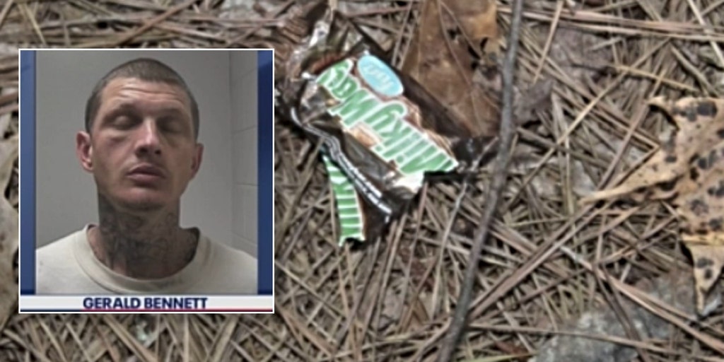 Eight arrested in Georgia theft ring after trail of candy wrappers leads police to suspects - Vimarsana News