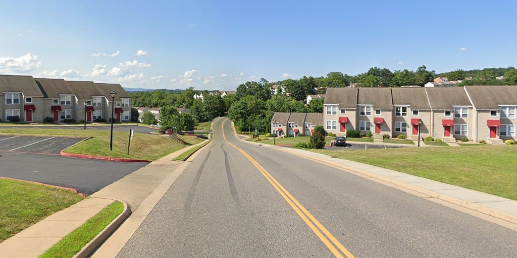 Virginia shooting at outdoor gathering leaves 8 wounded, officials say - Vimarsana News
