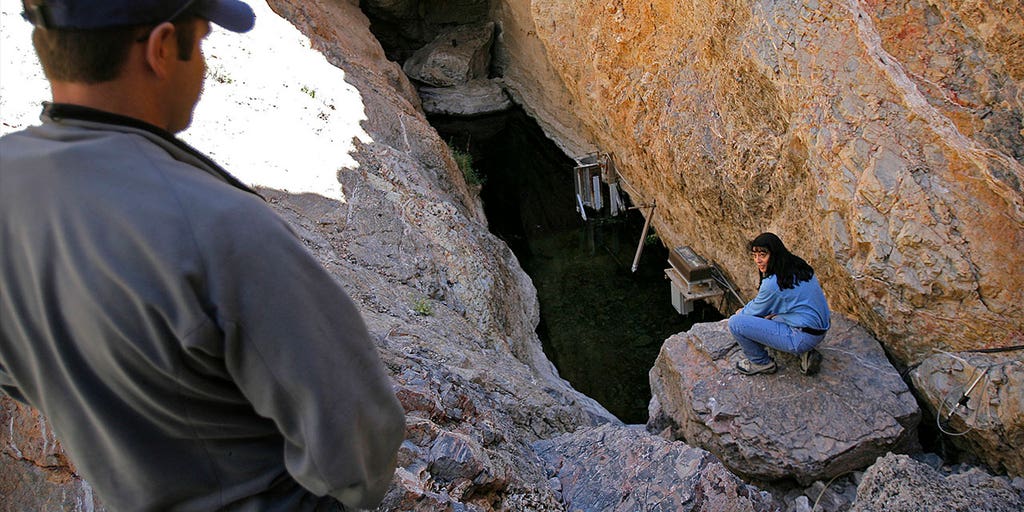 Rare fish species that live in a single NV desert cavern rebound to highest numbers in 19 years - Vimarsana News