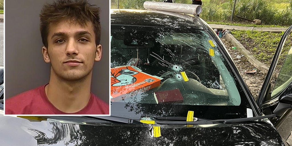 Florida man arrested after homeless family of 5 shot at while sleeping in car, pregnant mom struck in head - Vimarsana News