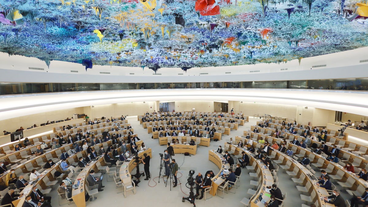 UN Human Rights Council in Geneva