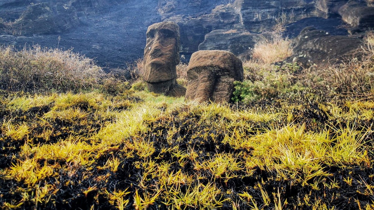 Moai Statue Easter Island