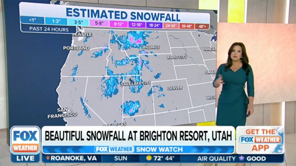 A Fox Weather reporter stands in front of a map showing snow