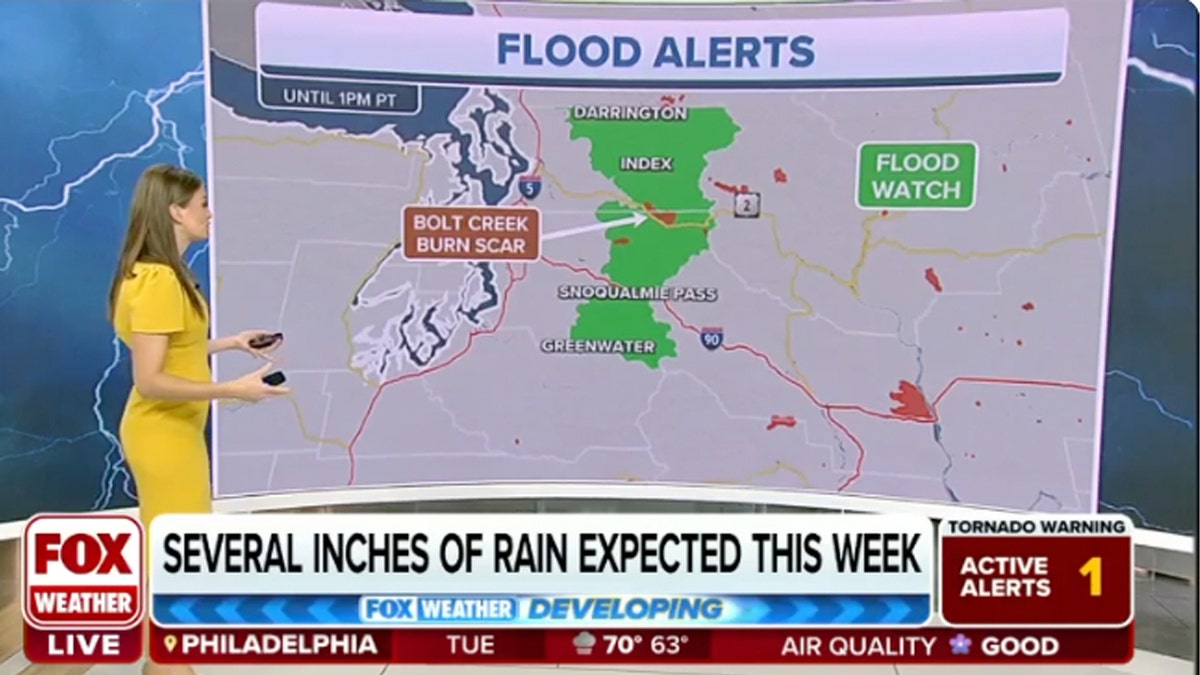 Fox Weather reporter standing in front of map showing flooding