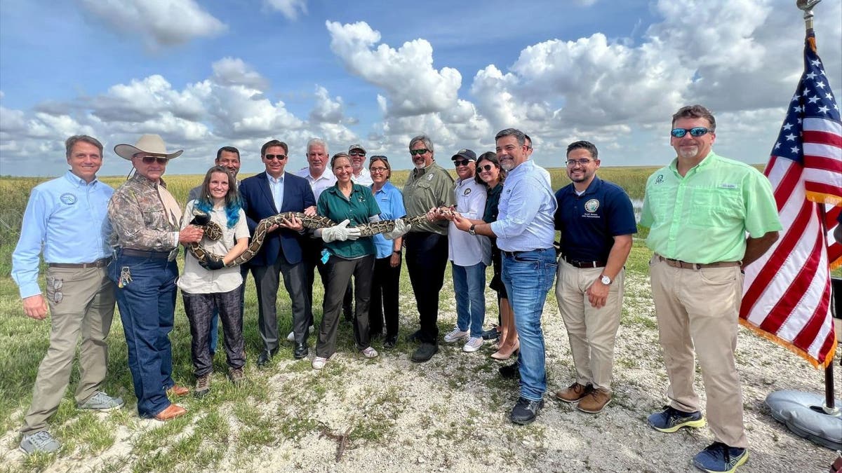 Florida wildfire and conservation officials hold python