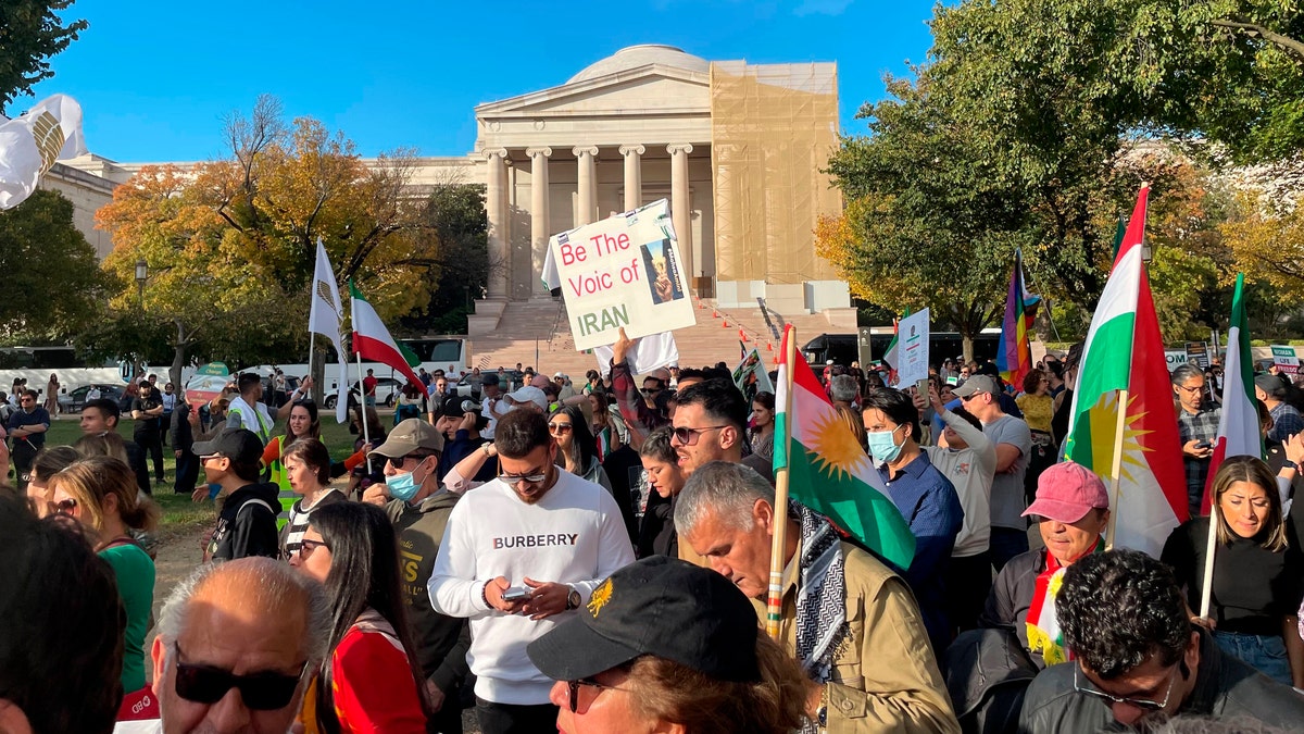 Protest in Washington D.C.