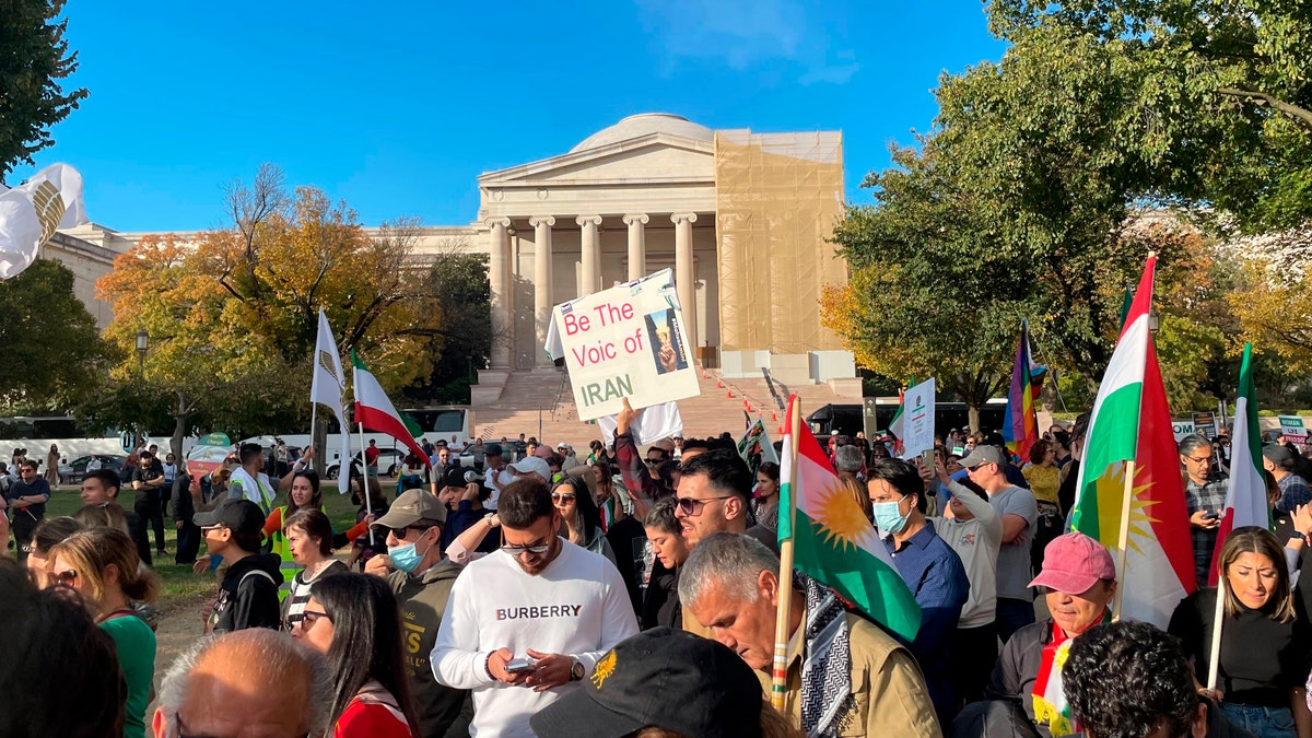 Protest in Washington D.C.