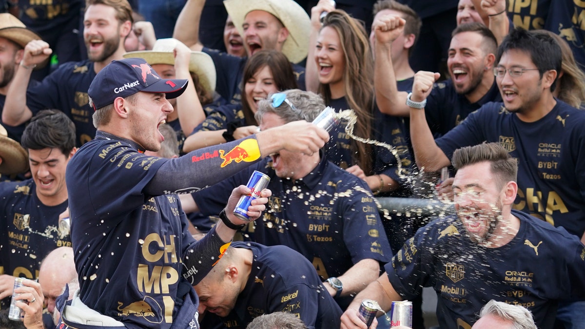 Red Bull driver celebrates with team